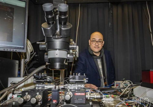 科學家研發(fā)新型光子芯片 用聲波有效抗噪,突破數(shù)據傳輸瓶頸