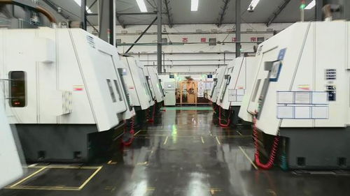 視頻丨乳山 一攬子政策提振企業(yè)信心 助推經濟高質量發(fā)展